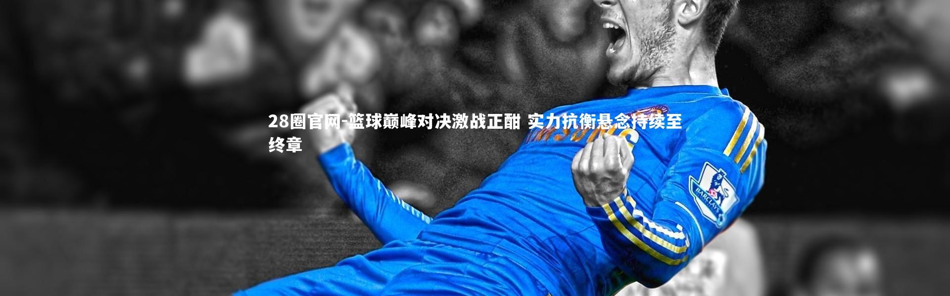 28圈官网-篮球巅峰对决激战正酣 实力抗衡悬念持续至终章