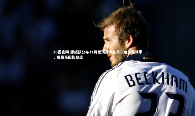 28圈官网-挪威队公布11月世预赛大名单，哈兰德领军，厄德高因伤缺席