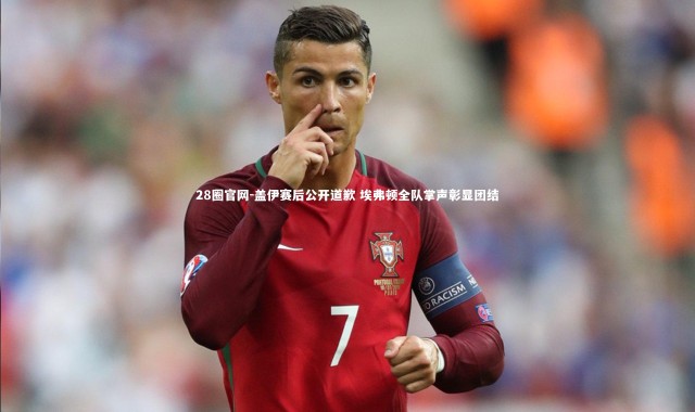 28圈官网-盖伊赛后公开道歉 埃弗顿全队掌声彰显团结