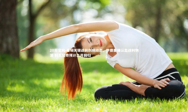 28圈官网-曼城关键战前伤病动态，罗德里确认出战利物浦 科瓦契奇预计二月回归