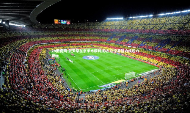 28圈官网-贺天举在京手术顺利成功 辽宁男篮内线压力骤增