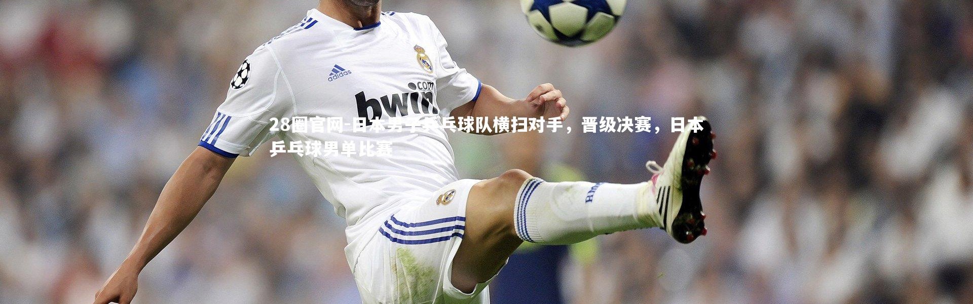 28圈官网-日本男子乒乓球队横扫对手，晋级决赛，日本乒乓球男单比赛