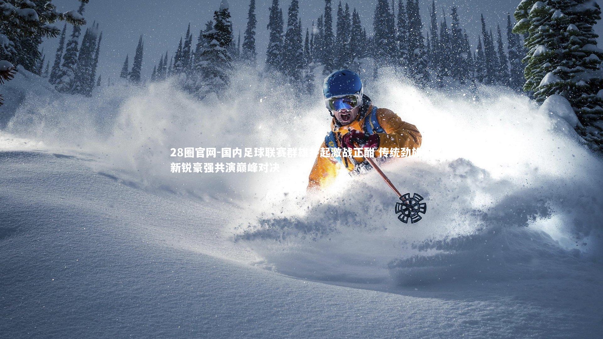 国内足球联赛群雄并起激战正酣 传统劲旅与新锐豪强共演巅峰对决