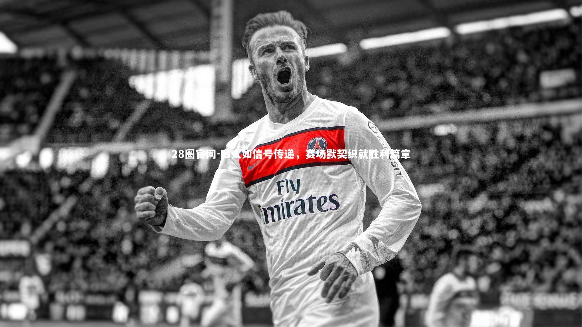 四人如信号传递，赛场默契织就胜利篇章